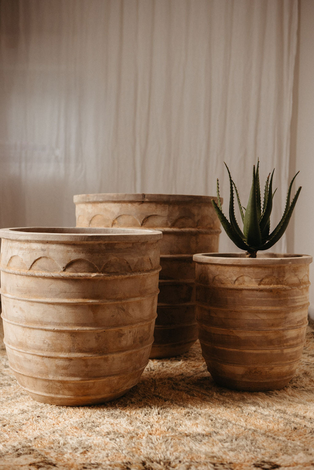 Antique Terracotta Diogenes Pot