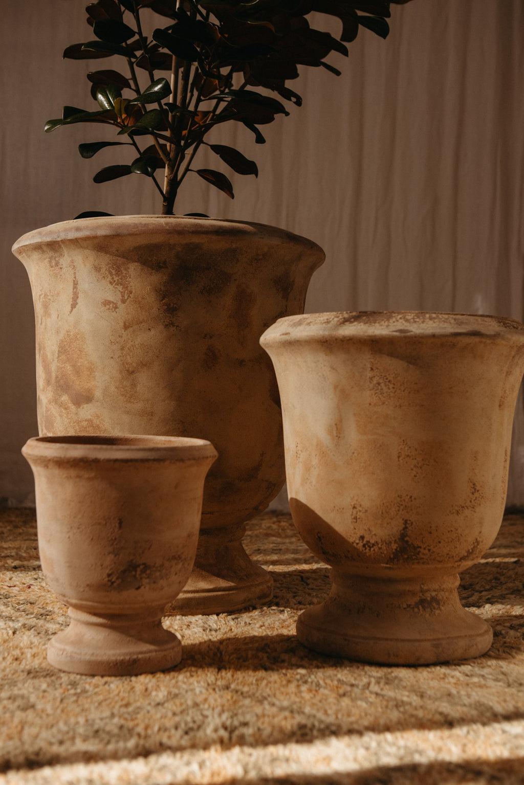 Antique Terracotta Bordeaux Anduze Urn