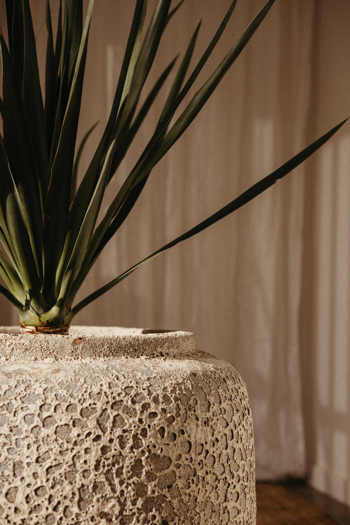 Vogue Pot - SPECIAL ORDER