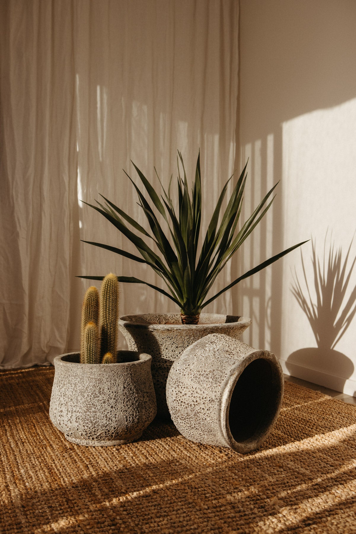 Lucinda Pot PRE-ORDER