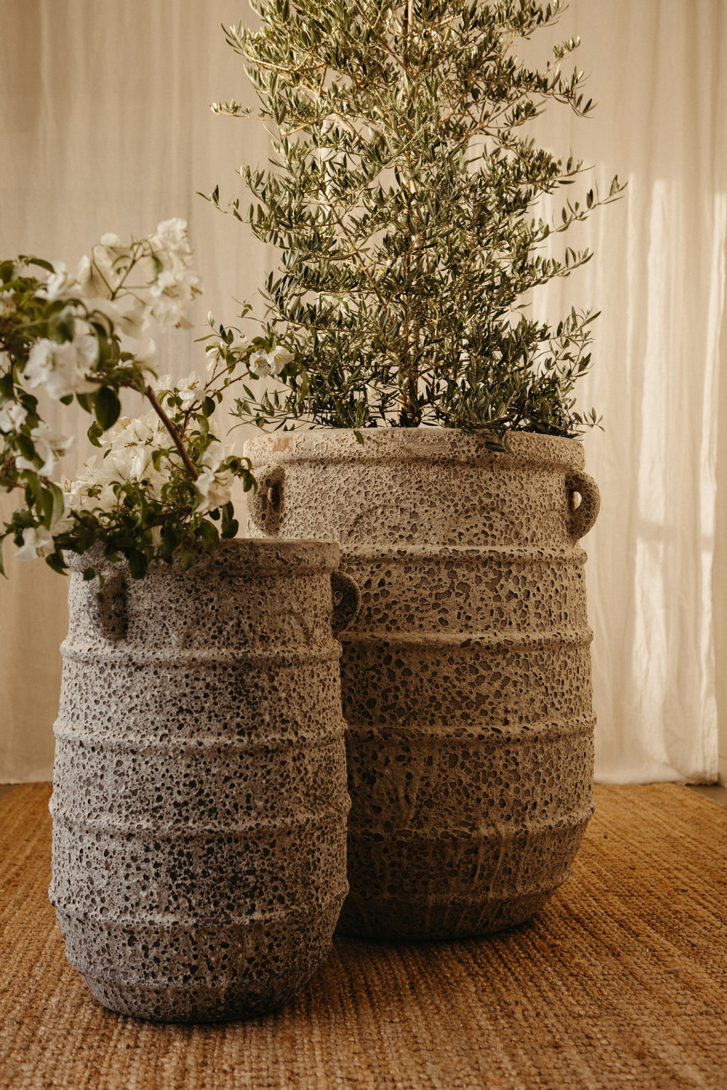 Ancient Apollo Urn - PRE ORDER
