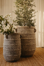 Ancient Apollo Urn - PRE ORDER