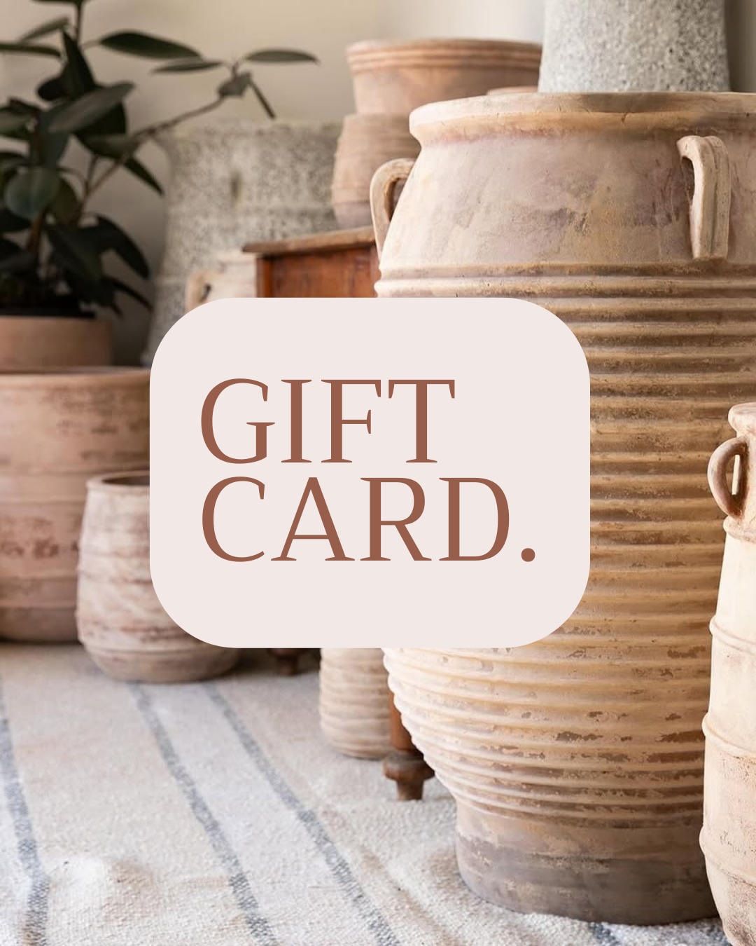 Mr. Potsy Gift Card