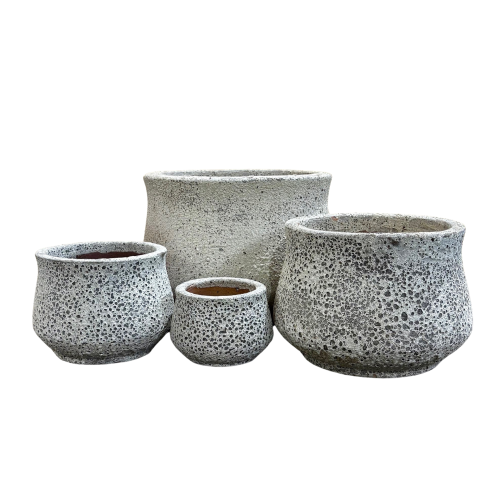 Salona Pot PRE-ORDER